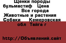 Щенки породы бульмастиф › Цена ­ 25 000 - Все города Животные и растения » Собаки   . Кемеровская обл.,Тайга г.